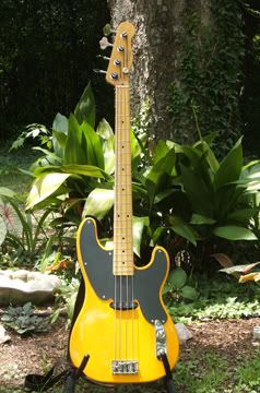 http://i345.photobucket.com/albums/p362/lpdeluxe1/Fender51Precision.jpg