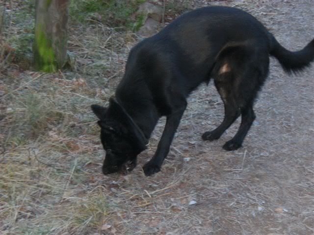 januari-09019.jpg