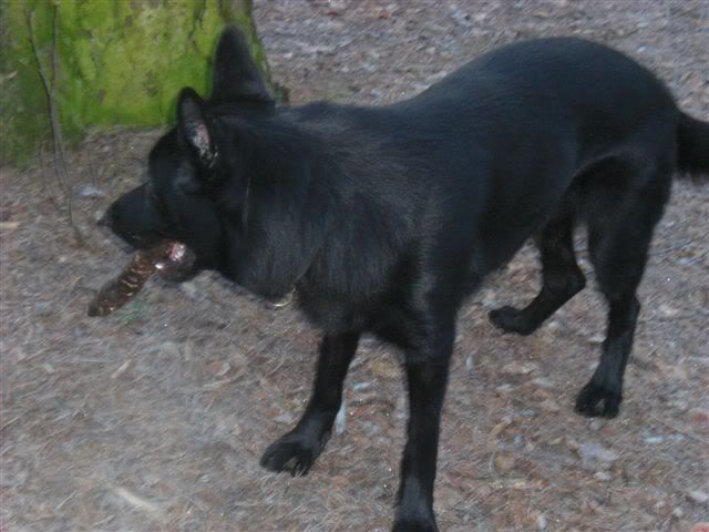 januari-09020.jpg