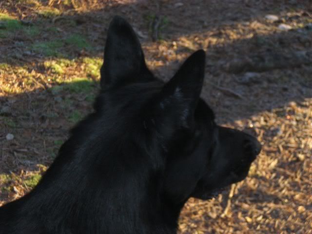 januari-09022.jpg