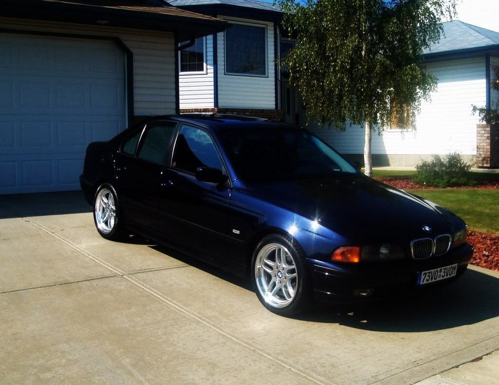 Oriental blue bmw #7