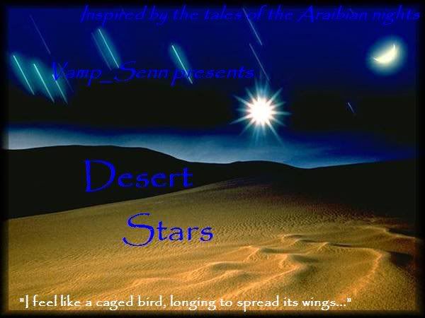 Desert Stars Banner