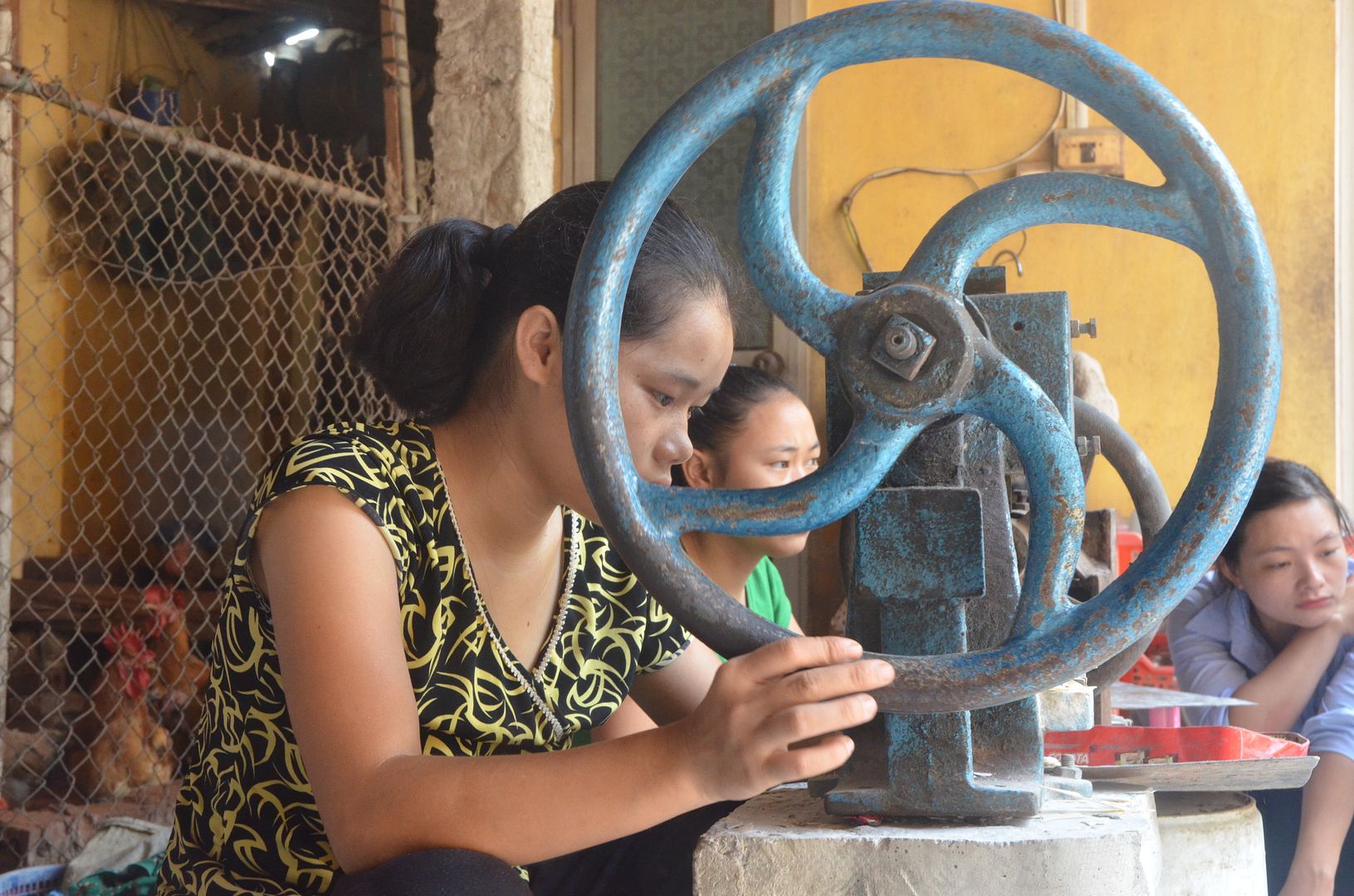 69DF5F1E8FEE3F17A00F2C9BDD312F5CA1909B0173453F5434pimgpsh fullsize distr zps4weo9wqv