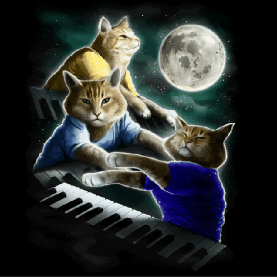 keyboardcatshirt.gif