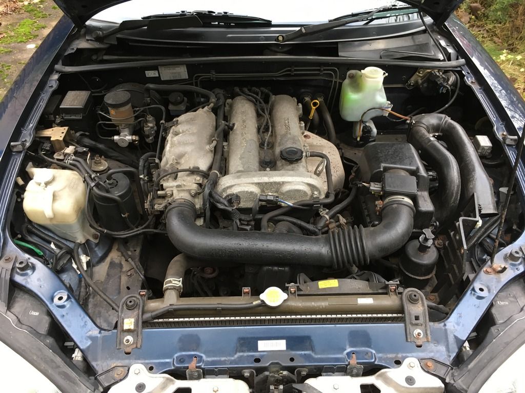 Engine Bay