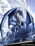 dragon Pictures, Images and Photos