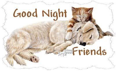 goodnight_friends_cat_dog.jpg GOOD NIGHT image by catlover63_2008