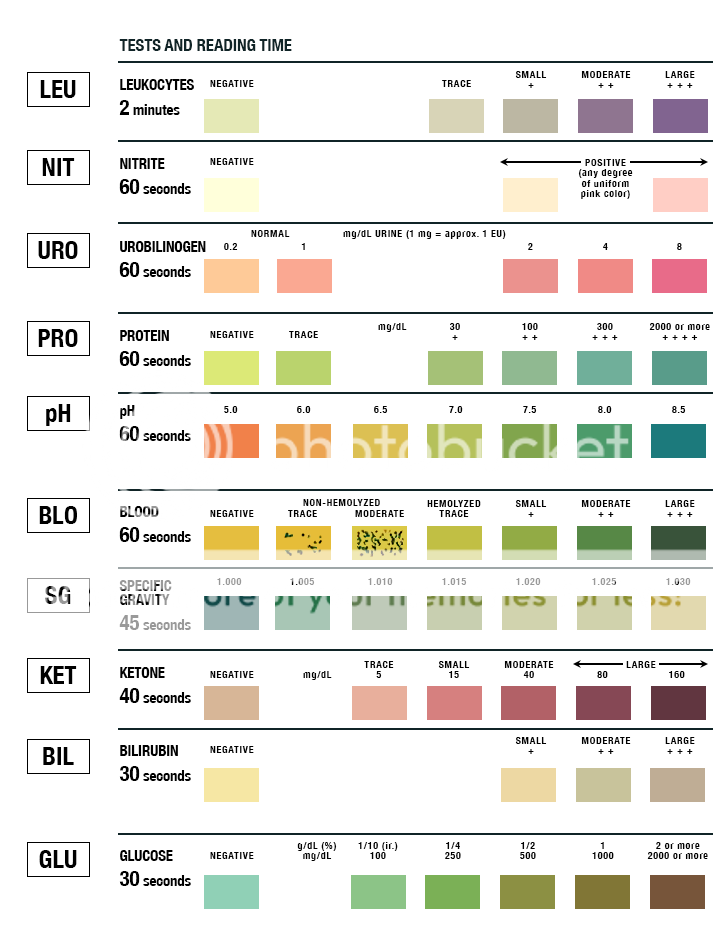 multistix 10 sg color chart